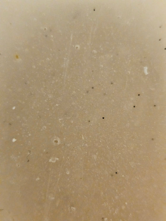 Vanilla Bean Bliss Coconut Soap