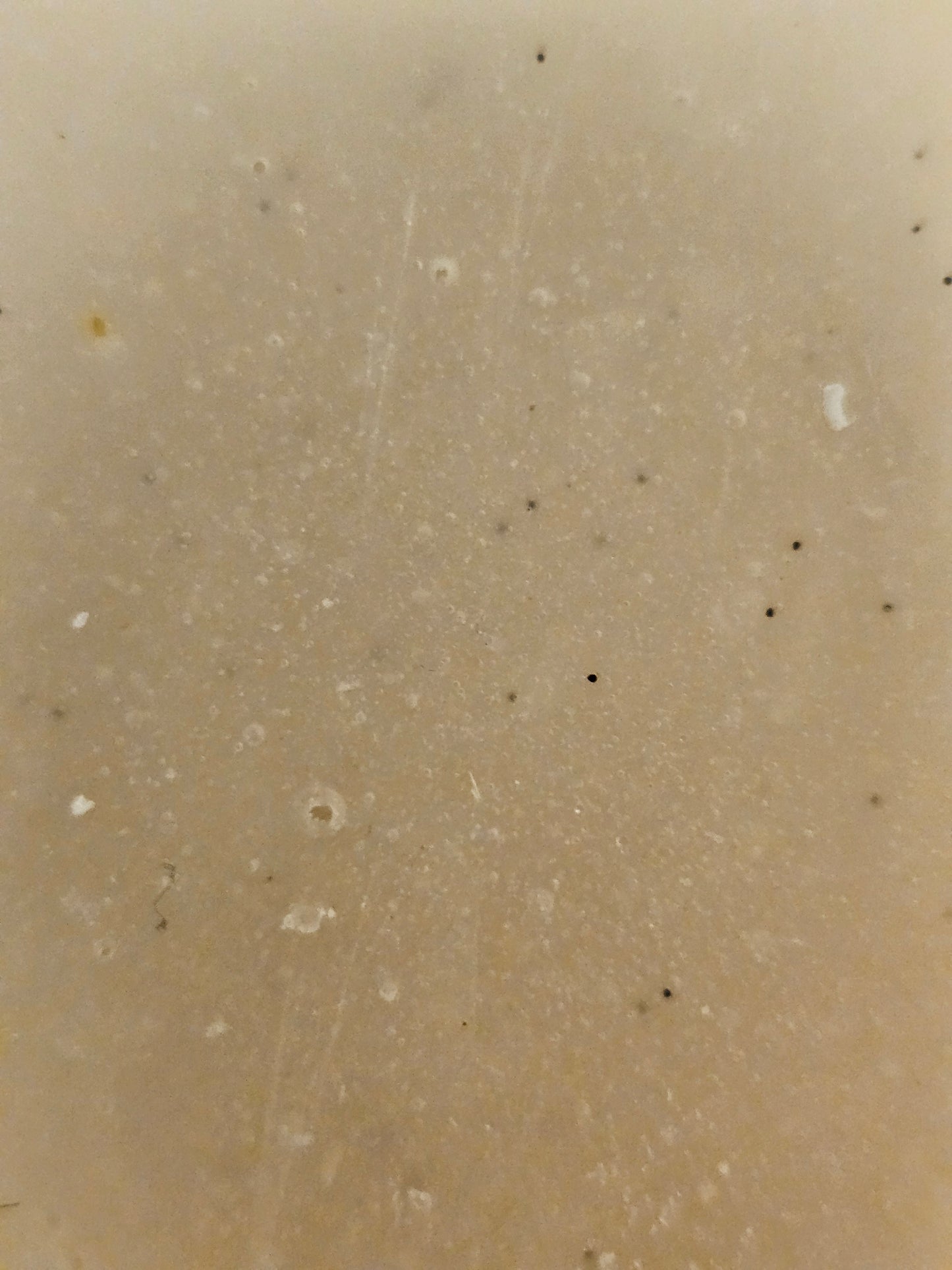 Vanilla Bean Bliss Coconut Soap